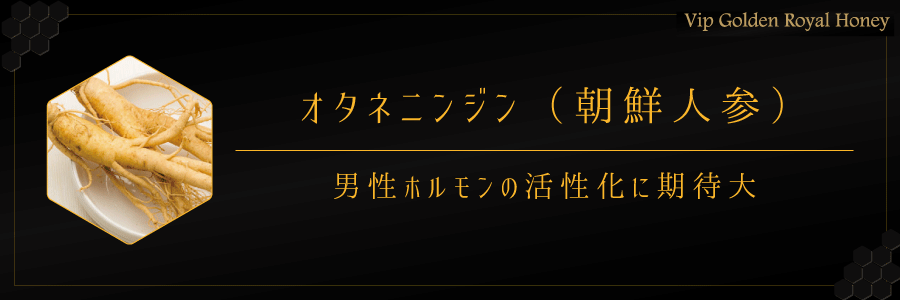 男性ホルモンの活性化に期待！オタネニンジンの効果は？